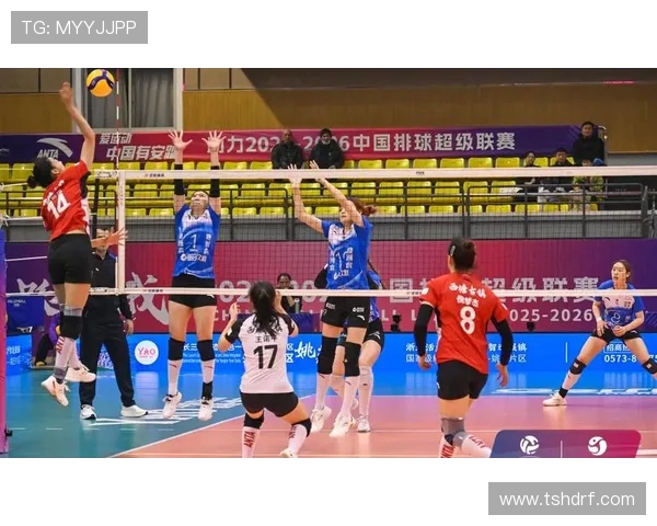 如何观看中国排球联赛：直播平台与赛程指南